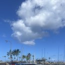 여행:: 오아후 3일차| 하와이 상어 다이빙 deep blue eco tours 프리다이빙 투어 | 노스쇼어 샥스코브