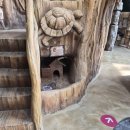 신기부화장 | 오산 버드랜드 후기