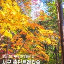 부산 대신공원~서구종단트레킹숲길 트레킹 이미지