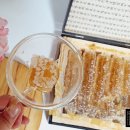 꿀 선물세트 나나농원 명절 고급 꿀선물