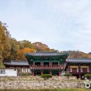 방아다리 이미지