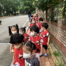 ♥새싹 천사들의 즐거운 유치원 생활♥ 이미지