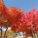 우장초등학교 이미지