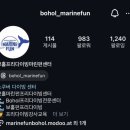🇵🇭 필리핀 보폴여행 #6 보홀 고래상어 투어, 나팔링 포인트 정어리떼, 나팔링 프리다이빙, 보홀프리...