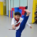 별빛태권도 이미지