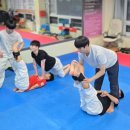 청시의지태권도 이미지