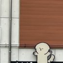 개아나유 이미지