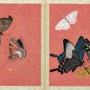 [명화 돋보기] 부부의 사랑·장수 상징… 직접 나비 잡으러 다닌 화가도 이미지