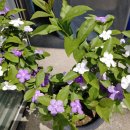 (유)동아금속 이미지