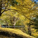 한미공인중개사사무소 이미지