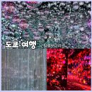 창조하는사람들 | [일본 도쿄 여행] "팀랩 보더리스" 위치 예약 팁 후기