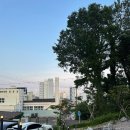 남매보쌈 - 남구 봉선로19번길 15 | 광안리 맛집 청산1954 편백낙지보쌈 후기