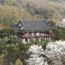 풍남교 | 낙동강따라 이어지는 안동 자전거길