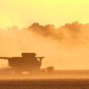 도날드농장 이미지