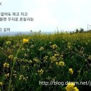 초원의집 - 정선군 | 초원의집