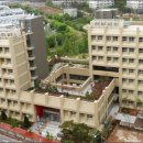 순천-35호 이미지