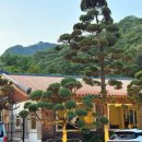 옥류헌릴렉스 이미지