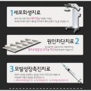 차세대헤어라인