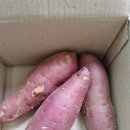한입에 먹을 수 있는 맛있는 달달한 킹맘마 고구마 택배후기