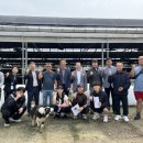 송영신목장 이미지