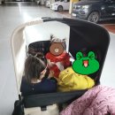 위한 웨건 (원더폴드 엘리트 W4), 그리고 유모차(조이 크롬, 조이 시그니처, <b>마이크라라이트</b> 투폴드)