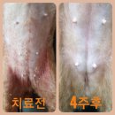 김민재동물병원 이미지