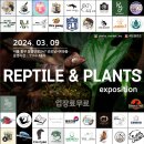 달콩마켓 이미지