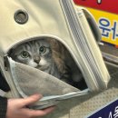 쥬시동물병원 이미지