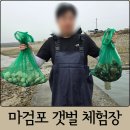 태안 안면도 갯벌 체험 마검포협동조합 마검포해수욕장 해루질 내돈내산 후기