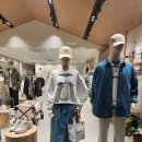 노르디스크 군산점 이미지