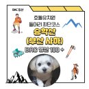 호돌유치원 이미지