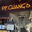 동대구역 신세계백화점 맛집 PF CHANG 피에프창 방문 후기 대구신세계백화점 8층 식당가맛집 추천
