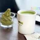 한잔어때 | (제주카페) 동쪽으로 가는길에 녹차한잔, 어때?