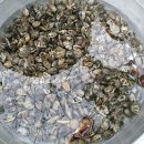 옛날시골보리밥집 이미지