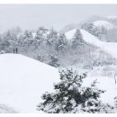 아라공원 이미지