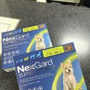 봉천현대동물병원 이미지