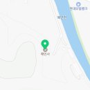 대경로 소나무 이미지