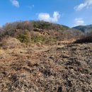 평장농장 이미지