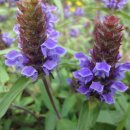 그린바다 이미지