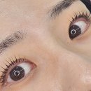 네일만나러갑니다 | [후기] 속눈썸펌 중독자가 선택한 범계역 온비네일 하이엔드 수분 펌 (케라틴 케어+블랙틴팅+수분팩)