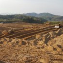 세창태양광발전소 이미지