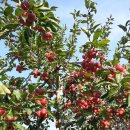 현자농장 이미지