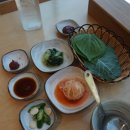 도토리 정원 이미지