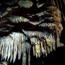 울진대게빵 이미지