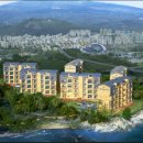 강정동-48 이미지