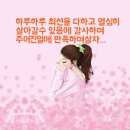 타이어월드 이미지