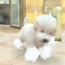 몽글몽글 이미지