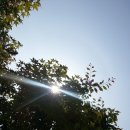 여주-0518 네이버블로그