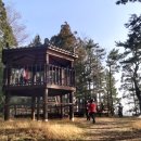 맹종죽테마파크1 이미지