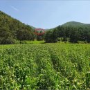 초일리 경로당 이미지